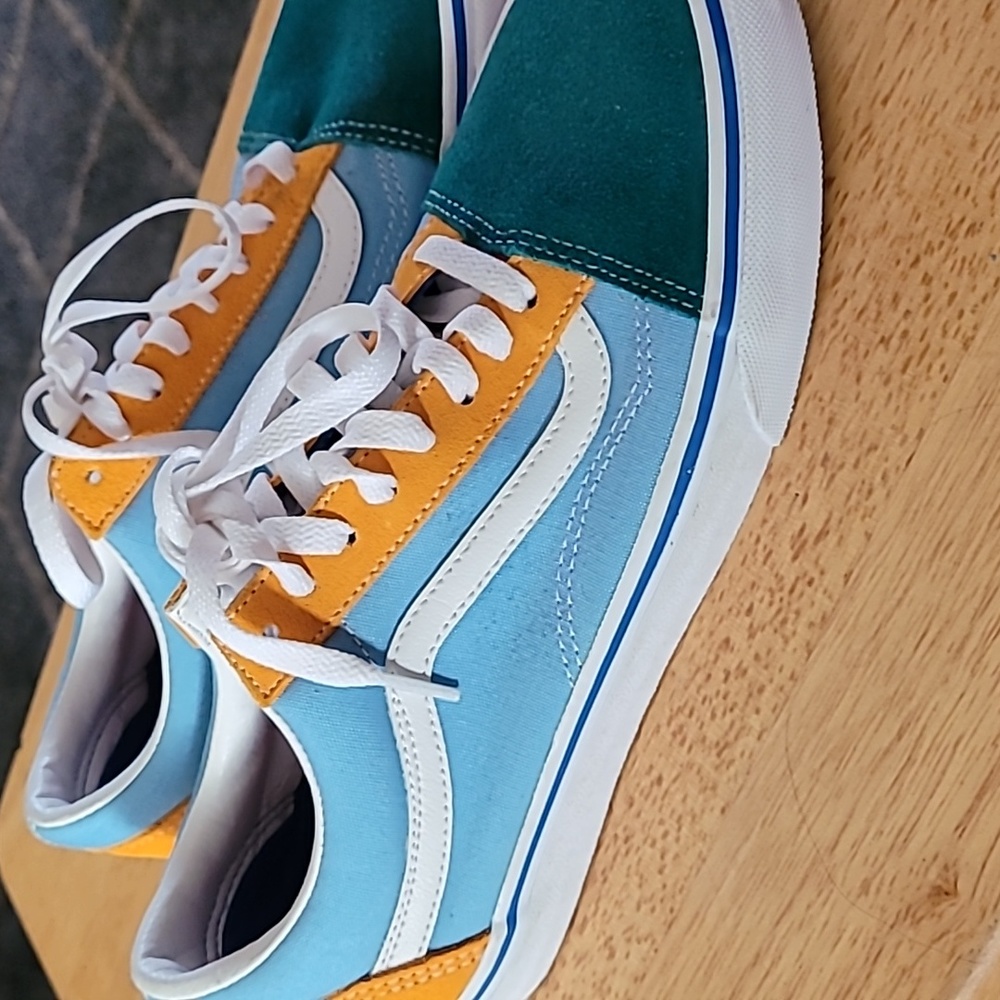 Vans Shoes Multicolor Vans Skate Shoes